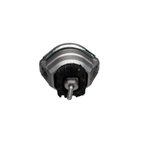 Rein AVE0521 Engine Mount - Left - view 5