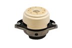 Rein AVE0709 Engine Mount - Front Left - view 1