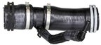 Rein CHE0638 Engine Coolant Hose - Thermostat Housing To Engine - view 2