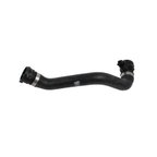 Rein CHK0005P Radiator Coolant Hose Kit - Lower - view 5