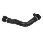 Rein CHR0373R Radiator Coolant Hose - Lower - Radiator To Thermostat - view 5