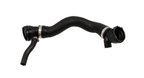 Rein CHR0583 Radiator Coolant Hose - Lower - Primary Radiator To Thermostat - view 1