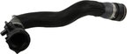 Rein CHR0750 Radiator Coolant Hose - Lower or Lower - Main Radiator - view 1