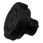 Rein CPE0030P Engine Coolant Reservoir Cap - Radiator - view 1
