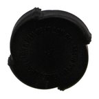 Rein CPE0030P Engine Coolant Reservoir Cap - Radiator - view 2