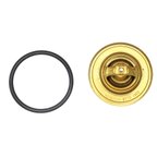 Rein CTI0003 Engine Coolant Thermostat - view 4