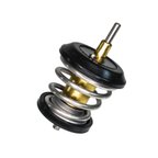 Rein CTI0010 Engine Coolant Thermostat - view 5