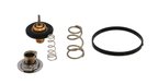 Rein CTN0044 Engine Coolant Thermostat - view 2