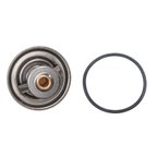 Rein CTN0045 Engine Coolant Thermostat - view 5