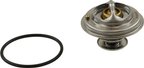 Rein CTN0076 Engine Coolant Thermostat - view 5