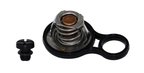 Rein CTZ0043 Engine Coolant Thermostat Kit - view 1