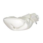 Rein WST0024 Washer Fluid Reservoir - view 5
