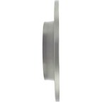 Centric 121.39039 Disc Brake Rotor - Rear - view 2