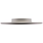 Centric 125.39059 Disc Brake Rotor - Rear - view 2