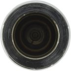 Centric 146.45024 Disc Brake Caliper Piston - Rear - view 3