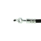 Centric 150.44361 Brake Hydraulic Hose - Rear - view 2