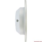 Centric 320.51039F Disc Brake Rotor - Rear - view 4