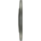 Centric 320.65145F Disc Brake Rotor - Rear - view 4
