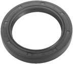 SKF 15822 Engine Oil Pump Seal - view 1