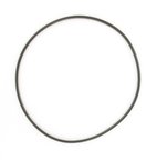 SKF 4079AA Wheel Hub O-Ring - Rear - view 2