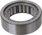SKF R1500-EL Wheel Bearing - Rear - view 1