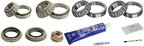 SKF SDK331-B Axle Differential Bearing and Seal Kit - Rear - view 2