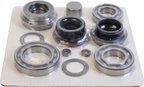SKF STCK4419 Transfer Case Overhaul Kit - view 1