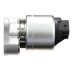 Delphi EG10020 EGR Valve - view 5
