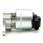 Delphi EG10022 EGR Valve - view 5