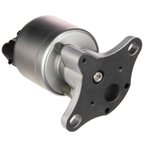 Delphi EG10031 EGR Valve - view 2