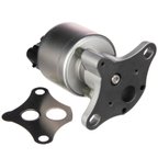 Delphi EG10031 EGR Valve - view 7