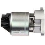 Delphi EG10031 EGR Valve - view 3