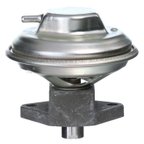 Delphi EG10099 EGR Valve - view 1