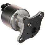 Delphi EG10175 EGR Valve - view 2