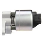 Delphi EG10175 EGR Valve - view 5