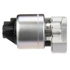 Delphi EG10175 EGR Valve - view 1