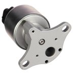 Delphi EG10176 EGR Valve - view 2