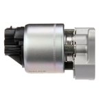 Delphi EG10176 EGR Valve - view 1