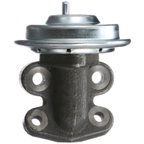 Delphi EG10243 EGR Valve - view 1