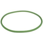 Delphi FA10029 Fuel Pump Tank Seal - view 2