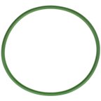 Delphi FA10029 Fuel Pump Tank Seal - view 7
