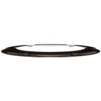 Delphi FA10037 Fuel Tank Lock Ring - view 1