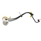 Delphi FG0049 Fuel Pump Module Assembly - view 6