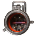 Delphi FG0967 Fuel Pump Module Assembly - view 8