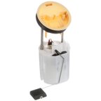 Delphi FG0979 Fuel Pump Module Assembly - Right - view 2