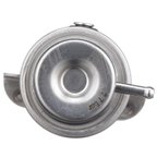 Delphi FP10044 Fuel Injection Pressure Regulator - view 5