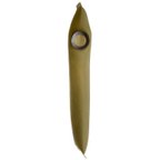 Delphi FS0021 Fuel Pump Strainer - view 1