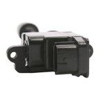 Delphi GN10224 Ignition Coil - Right - view 1