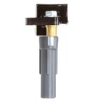 Delphi GN10484 Ignition Coil - view 4