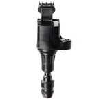 Delphi GN10485 Ignition Coil - view 4